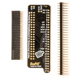 RasPiO Breadboard Pi PCB + Headers